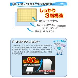 TEIJIN 乾っとパック 防ダニプラス 小サ...の詳細画像2