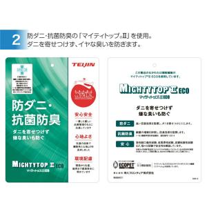 TEIJIN 乾っとパック 防ダニプラス 小サ...の詳細画像3