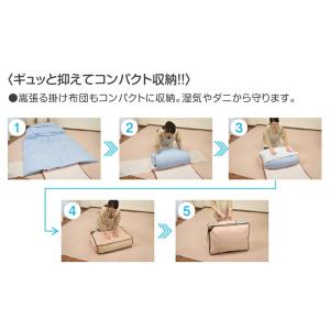 TEIJIN 乾っとパック 防ダニプラス 小サ...の詳細画像5