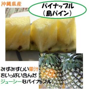ハワイ産 パイナップルの商品一覧 通販 Yahoo ショッピング