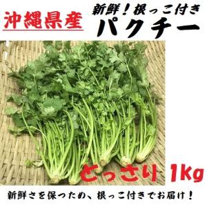 沖縄県産 パクチー 1束 1kg F 45 Murunu Shi Online Shop 通販 Yahoo ショッピング