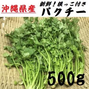 沖縄県産　パクチー　500g