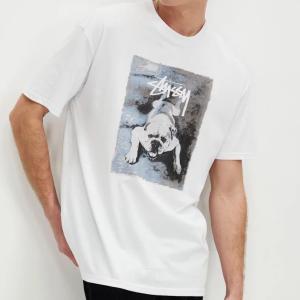 STUSSY（ステューシー） STUSSY Sport SS Tee Tシャツ : Import Shop