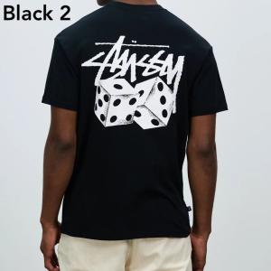 STUSSY Pair Of Dice Tee...の詳細画像5