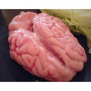 ブレンズ　「豚の脳」カットはできません。