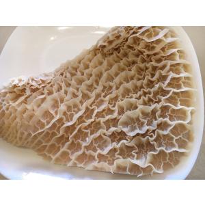 白ボイルハチノス〔第二胃袋〕500g　大