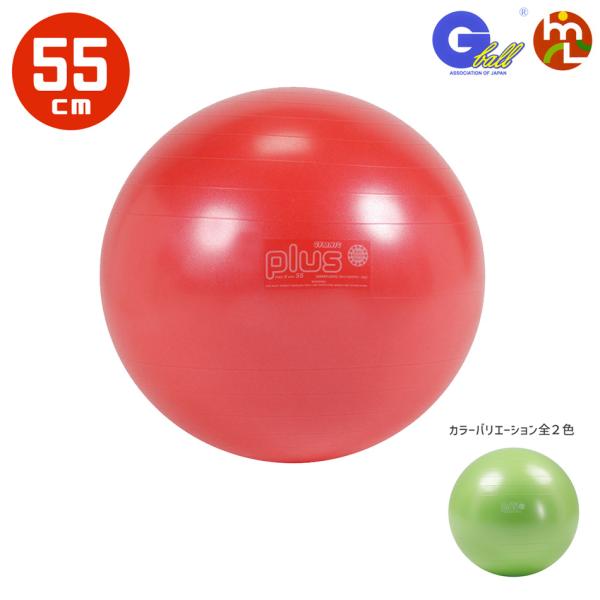 バランスボール 「ギムニクプラス（GYMNIC PLUS）55cm」 バウンドしても大丈夫 トレーニ...