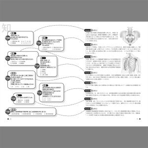 筋肉検定 公式問題集 「「筋肉のこと知ってます...の詳細画像1