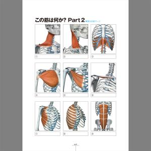 筋肉検定 公式問題集 「「筋肉のこと知ってます...の詳細画像5