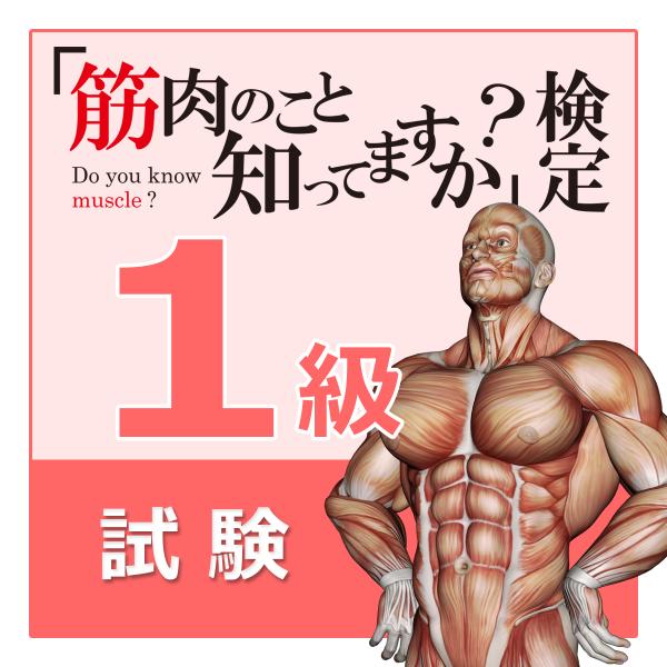 【10％OFFキャンペーン中】「筋肉のこと知ってますか？」検定【１級試験】