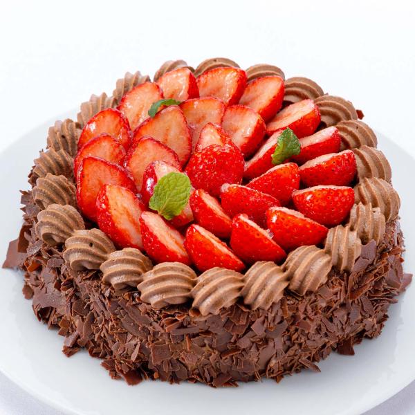 ケーキ・タルト チョコレートのケーキ 直径15cm /ミュゼ・ド・ガトー