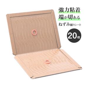 SHIMADA ネズミ駆除 ネズミ捕り粘着シート 耐水紙 グルットプロN版 100
