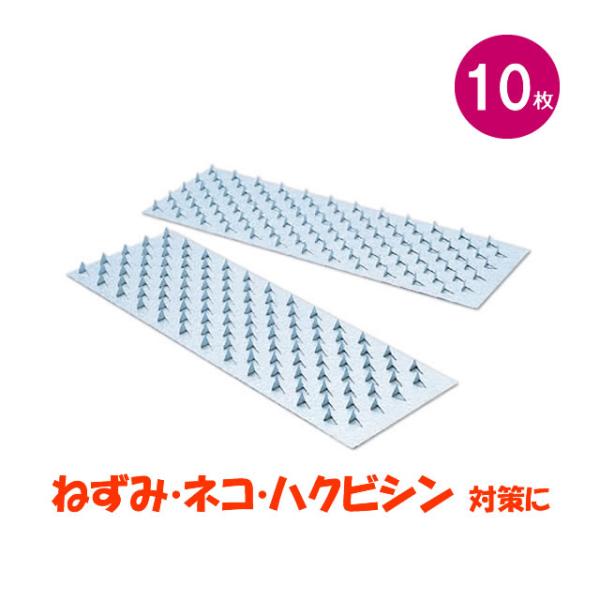 虫退治.COM Yahoo!ショップ - ネズミ｜Yahoo!ショッピング
