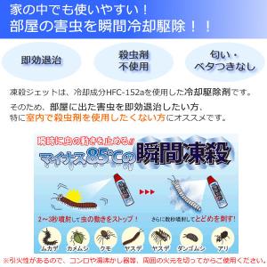 冷やす 凍らして駆除 凍殺ジェット 300ml...の詳細画像1