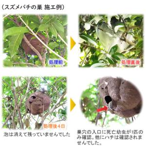 プロにも人気 ハチの巣駆除ムース 300ml ...の詳細画像2