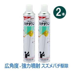 住化エンバイロメンタルサイエンス 6本単位 お得用 ハチノックL 300ml