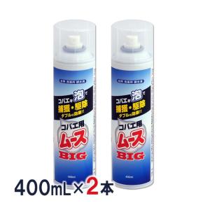 (2本セット)コバエ用ムースBIG 400ml×2本 湯舟裏 チョウバエ駆除 浴槽下 エプロン内側 殺虫剤 チョウバエ コバエ駆除 排水口 洗面所 あすつく対応｜mushi-taijistore