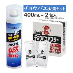 風呂場 チョウバエ駆除セット コバエ用ムース 400ml +チョウバエバスター 25g×2包 排水口 台所 洗面 浴槽 チョウバエ コバエ駆除 風呂場 トイレ 厨房