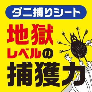 ダニ駆除 ダニがホイホイ ダニ捕りシート 3枚...の詳細画像1