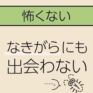 4本セット マモルーム ゴキブリ用 取替えボト...の詳細画像3
