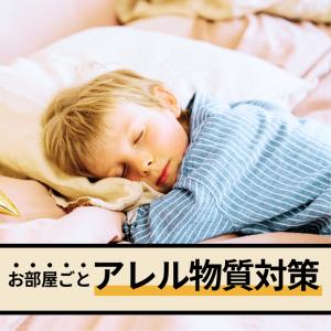 マモルーム Feat.アレルブロック ハウスダ...の詳細画像2