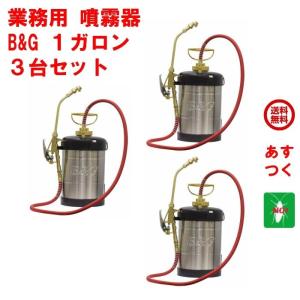除菌 ゴキブリ 駆除 噴霧器 B&G エクステンダーバン 1ガロン 約3.8L