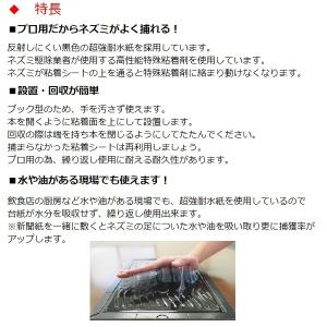 ネズミ捕り プロボードL 両面黒 10枚 業務...の詳細画像2