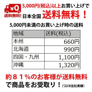 レック 業務用バルサン MCジェットW 100...の詳細画像2