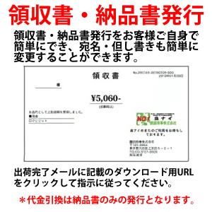 レック 業務用バルサン MCジェットW 100...の詳細画像4