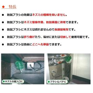 ネズミ駆除 防鼠ブラシ RR-40 ブラシ ネ...の詳細画像2