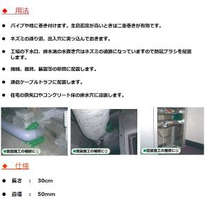 ネズミ駆除 防鼠ブラシ RR-40 ブラシ ネ...の詳細画像3