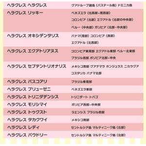 ヘラクレスオオカブト成虫 オス B級品 70〜...の詳細画像5