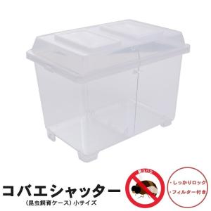 コバエシャッター「昆虫飼育ケース」中サイズ 内部仕切りなし : むしや