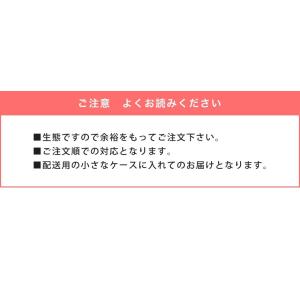国産 オオクワガタ幼虫 1〜2令 1頭の詳細画像5