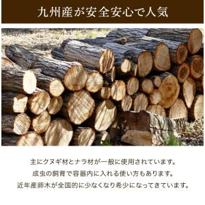むしや本舗 産卵木 クヌギ XLサイズ オオク...の詳細画像5