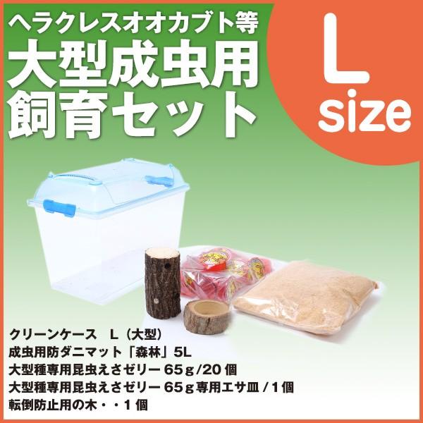 【ヘラクレスオオカブト等 大型成虫用飼育セット「大型のLサイズ」】飼育ケース 虫かご 昆虫ケース 飼...