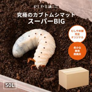 お徳用 廃菌床カブトムシマット「スーパーBIG」...の商品画像