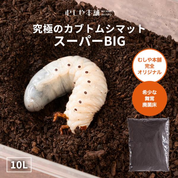 【超高カロリー！廃菌床 カブトムシマット「スーパーBIG」10リットル 1袋】スーパービッグ 昆虫マ...