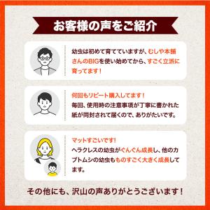 超高カロリー 廃菌床 カブトムシマット「スーパ...の詳細画像1