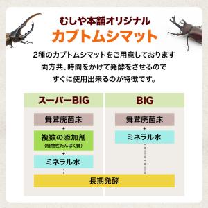 超高カロリー 廃菌床 カブトムシマット「スーパ...の詳細画像4