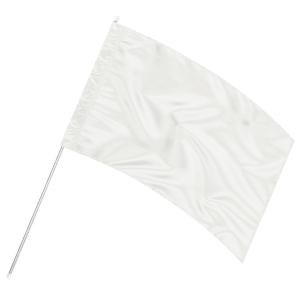 【riiisa】カラーガード　ポール3フラッグ2セット カラーガード・スターターセット 165cmアルミポール＆無地