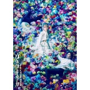 サンタクロースが歌ってくれた キャラメルボックス （DVD） : 宝塚アン