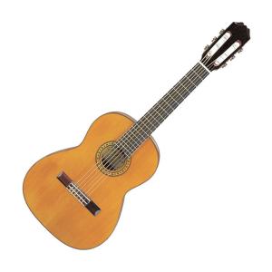 Takamine 100シリーズ PTU121C FCB エレアコ〈タカミネ〉 : 楽器de元気