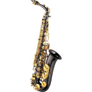 J.Michael AL-500 アルトサックス《木管楽器》 : ギタープラネット
