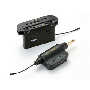 DPA d:vote CORE 4099-DC-1-199-G 4099G アコースティックギター用