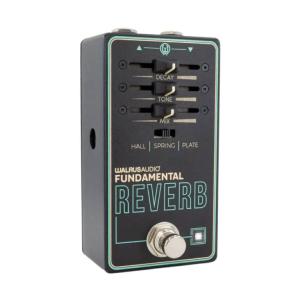 Neunaber Audio Immerse Reverberator MkII リバーブ,エコー
