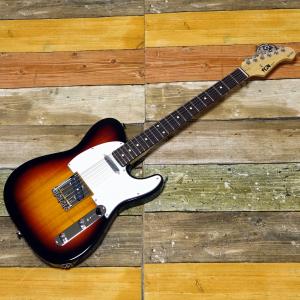 FUJIGEN テレキャスタイプ エレキギター Basic Classic BCTE100RBD-3TS