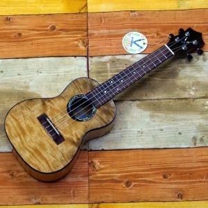 コピー&タブ譜　ポール・マッカートニー　ソングブック　ギター弾き語り　楽譜　絶版 Amazon.co.jp: 洋書コピー&タブ譜 ポールマッカートニーソングブック : 本