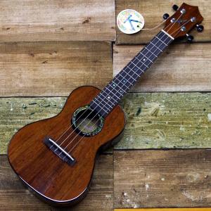 Sustainiac Stealth Pro Kit Single Size リアPUシングル用 Black