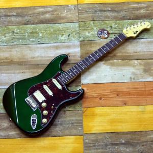 FUJIGEN(FGN) NST110RAL-CAG(キャンディアップルグリーン)｜musicimpre